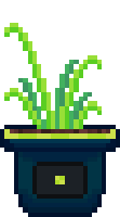 Herbs